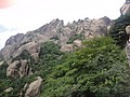 DSC01172.JPG