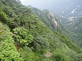 DSC01175.JPG