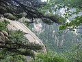 DSC01179.JPG