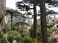 DSC01198.JPG