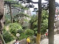 DSC01199.JPG