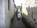 DSC01223.JPG