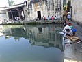 DSC01227.JPG