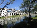 DSC01243.JPG