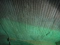 DSC01286.JPG
