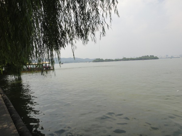 DSC01350.JPG
