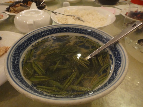DSC01382.JPG