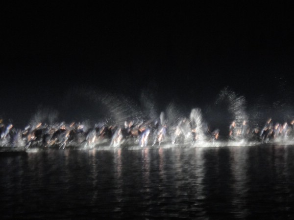 DSC01395.JPG