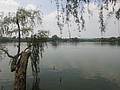 DSC01325.JPG