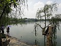 DSC01326.JPG