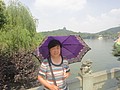 DSC01330.JPG
