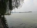 DSC01350.JPG