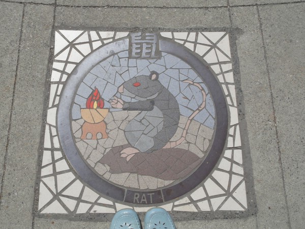 DSC01518.JPG