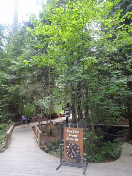 DSC01616.JPG