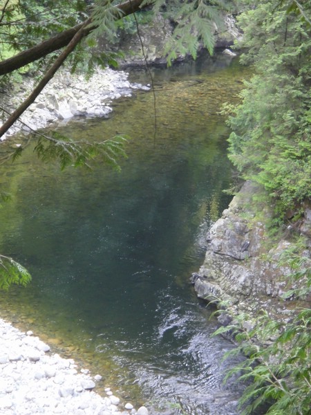 DSC01667.JPG