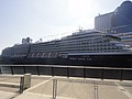 DSC01443.JPG