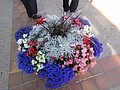 DSC01469.JPG