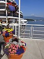 DSC01471.JPG