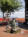 DSC01487.JPG