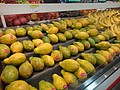 DSC01491.JPG