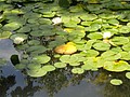 DSC01525.JPG