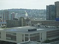 DSC01549.JPG