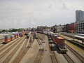 DSC01554.JPG
