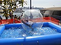 DSC01560.JPG