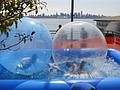 DSC01562.JPG