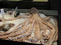 DSC01571.JPG