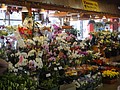 DSC01572.JPG