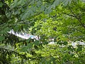 DSC01600.JPG