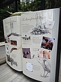 DSC01614.JPG