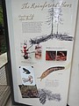 DSC01615.JPG