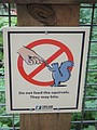 DSC01619.JPG