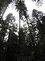 DSC01621.JPG