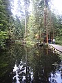 DSC01624.JPG