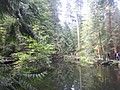 DSC01625.JPG