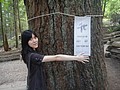 DSC01626.JPG