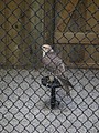 DSC01630.JPG