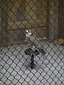 DSC01631.JPG