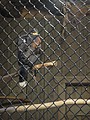 DSC01632.JPG
