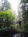 DSC01633.JPG