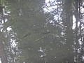 DSC01634.JPG