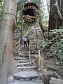 DSC01640.JPG