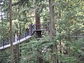 DSC01657.JPG