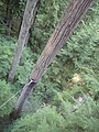 DSC01658.JPG