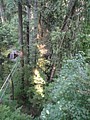 DSC01659.JPG