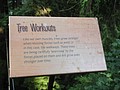 DSC01661.JPG