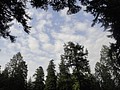 DSC01662.JPG